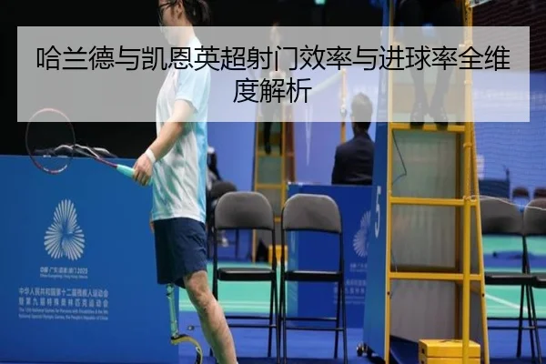 哈兰德与凯恩英超射门效率与进球率全维度解析